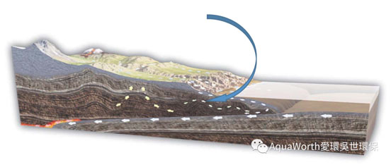 1636344545615596.jpg 2.jpg