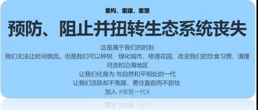 1636357221452759.jpg 4.jpg